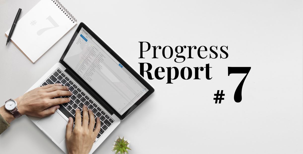 Progress Report #7: Strengthening Relationships with Partners & Progress in Projects